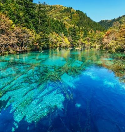 中国 九寨溝の観光ガイド 吸い込まれるようなエメラルドグリーンの絶景に浸る おすすめ旅行を探すならトラベルブック Travelbook 中国 九寨溝の観光ガイド 吸い込まれるようなエメラルドグリーンの絶景に浸る おすすめ旅行を探すならトラベルブック Travelbook