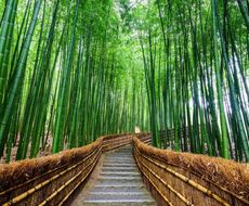 京都 デートで盛り上がること間違いなし おすすめのスポット12選 おすすめ旅行を探すならトラベルブック Travelbook 京都 デートで盛り上がること間違いなし おすすめのスポット12選 おすすめ旅行を探すならトラベルブック Travelbook