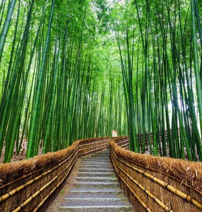 京都 デートで盛り上がること間違いなし おすすめのスポット12選 おすすめ旅行を探すならトラベルブック Travelbook 京都 デートで盛り上がること間違いなし おすすめのスポット12選 おすすめ旅行を探すならトラベルブック Travelbook