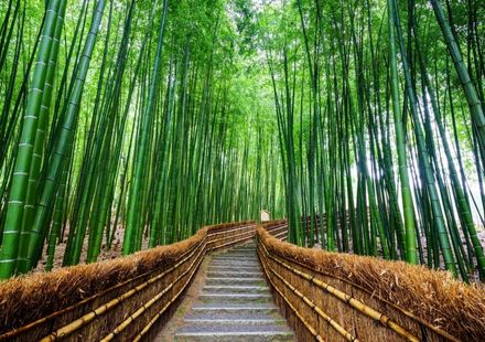 京都 デートで盛り上がること間違いなし おすすめのスポット12選 おすすめ旅行を探すならトラベルブック Travelbook 京都 デートで盛り上がること間違いなし おすすめのスポット12選 おすすめ旅行を探すならトラベルブック Travelbook