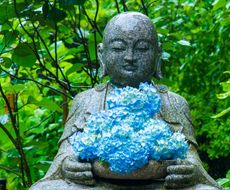 鎌倉 デートスポットに迷ったらココ まる一日大満足なおすすめ鎌倉観光ガイド おすすめ旅行を探すならトラベルブック Travelbook 鎌倉 デートスポットに迷ったらココ まる一日大満足なおすすめ鎌倉観光ガイド おすすめ旅行を探すならトラベルブック Travelbook