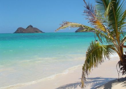 ワイキキビーチだけじゃない ハワイ オアフ島おすすめビーチ5選 おすすめ旅行を探すならトラベルブック Travelbook ワイキキビーチだけじゃない ハワイ オアフ島おすすめビーチ5選 おすすめ旅行を探すならトラベルブック Travelbook