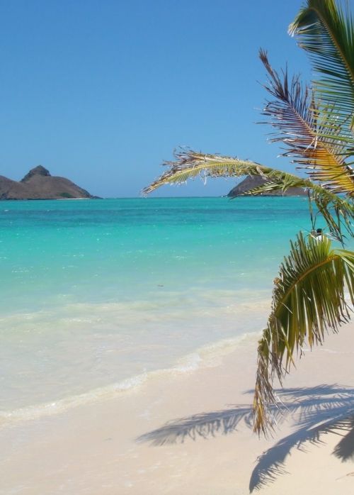 ワイキキビーチだけじゃない ハワイ オアフ島おすすめビーチ5選 おすすめ旅行を探すならトラベルブック Travelbook