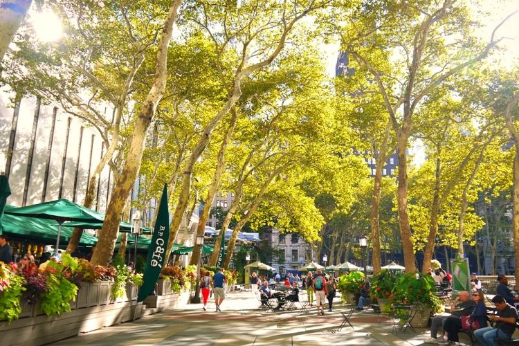 【ニューヨーク】文化が交差する街「アッパーウェストサイド」の見所5選