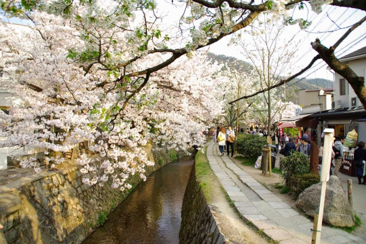 京都 哲学の道をのんびり散歩しながら寄りたい観光スポット６選 おすすめ旅行を探すならトラベルブック Travelbook