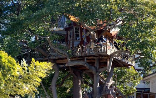 まるで秘密基地 一度は訪れたい憧れのツリーハウスカフェ5選 1 おすすめ旅行を探すならトラベルブック Travelbook