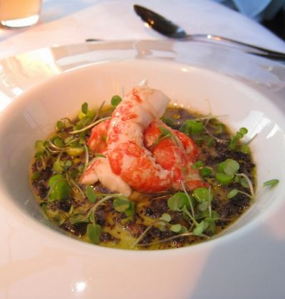 シドニー 最高のディナーで自分にご褒美 カリスマシェフのお店4選 おすすめ旅行を探すならトラベルブック Travelbook シドニー 最高のディナーで自分にご褒美 カリスマシェフのお店4選 おすすめ旅行を探すならトラベルブック Travelbook