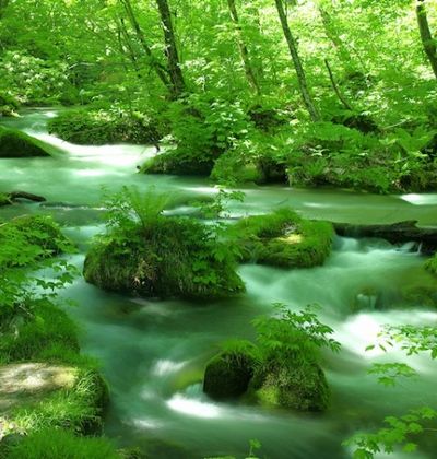 青森 奥入瀬渓流散策で必見観光スポット11選 おすすめ旅行を探すならトラベルブック Travelbook 青森 奥入瀬渓流散策で必見観光スポット11選 おすすめ旅行を探すならトラベルブック Travelbook
