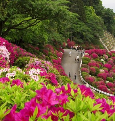 京都 青空と新緑だから美しい花スポット 扇子片手に訪れたい社寺5選 おすすめ旅行を探すならトラベルブック Travelbook 京都 青空と新緑だから美しい花スポット 扇子片手に訪れたい社寺5選 おすすめ旅行を探すならトラベルブック Travelbook