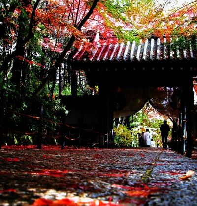 京都 長岡京 向日周辺で人気の観光スポット10選 おすすめ旅行を探すならトラベルブック Travelbook 京都 長岡京 向日周辺で人気の観光スポット10選 おすすめ旅行を探すならトラベルブック Travelbook