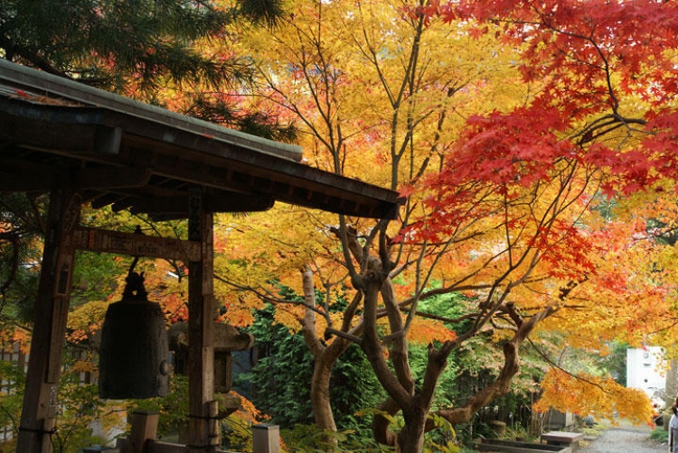 年版 風情漂う古都 鎌倉 でおすすめの紅葉スポット5選 おすすめ旅行を探すならトラベルブック Travelbook