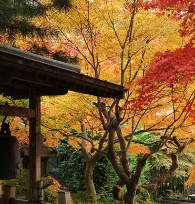 年版 風情漂う古都 鎌倉 でおすすめの紅葉スポット5選 おすすめ旅行を探すならトラベルブック Travelbook 年版 風情漂う古都 鎌倉 でおすすめの紅葉スポット5選 おすすめ旅行を探すならトラベルブック Travelbook