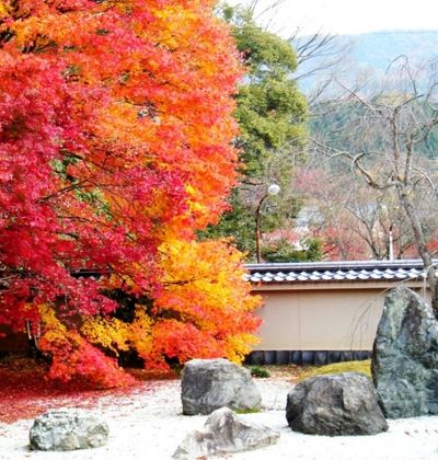 京都洛北の紅葉年版 紅葉狩りの ツウ が訪ねる 洛北のおすすめスポット5選 おすすめ旅行を探すならトラベルブック Travelbook 京都洛北の紅葉年版 紅葉狩りの ツウ が訪ねる 洛北のおすすめスポット5選 おすすめ旅行を探すならトラベルブック Travelbook