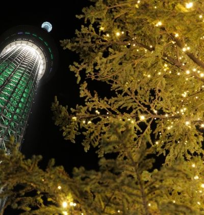 東京 世界一のクリスマスツリー 東京スカイツリータウン ドリームクリスマス15 おすすめ旅行を探すならトラベルブック Travelbook 東京 世界一のクリスマスツリー 東京スカイツリータウン ドリームクリスマス15 おすすめ旅行を探すならトラベルブック Travelbook