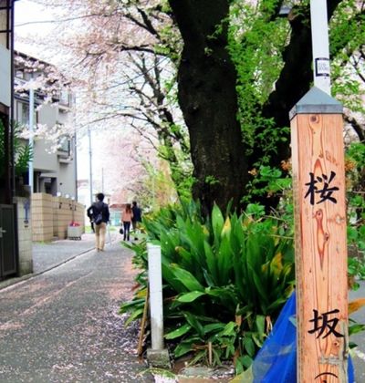 東京 東急多摩川線沿いのんびりお散歩スポット5選 おすすめ旅行を探すならトラベルブック Travelbook 東京 東急多摩川線沿いのんびりお散歩スポット5選 おすすめ旅行を探すならトラベルブック Travelbook