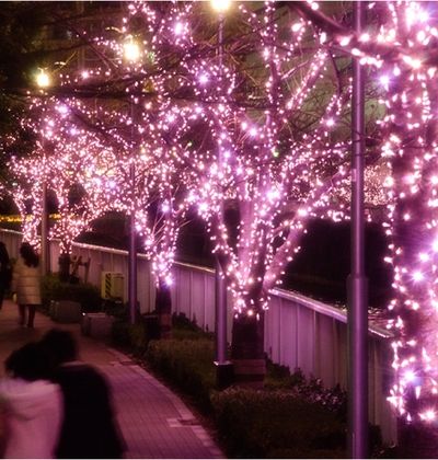 東京 冬の桜を見に行こう 目黒川みんなのイルミネーション15 おすすめ旅行を探すならトラベルブック Travelbook 東京 冬の桜を見に行こう 目黒川みんなのイルミネーション15 おすすめ旅行を探すならトラベルブック Travelbook