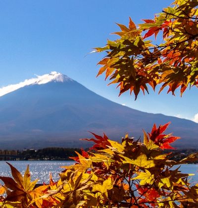 山梨 ハーブが香る河口湖周辺のぶらり旅でおすすめの観光スポット5選 おすすめ旅行を探すならトラベルブック Travelbook 山梨 ハーブが香る河口湖周辺のぶらり旅でおすすめの観光スポット5選 おすすめ旅行を探すならトラベルブック Travelbook