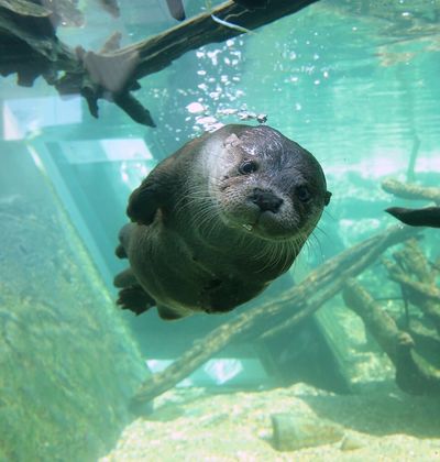 福島 いわき市 小名浜 観光で絶対に行きたいおすすめのスポット5選 おすすめ旅行を探すならトラベルブック Travelbook 福島 いわき市 小名浜 観光で絶対に行きたいおすすめのスポット5選 おすすめ旅行を探すならトラベルブック Travelbook