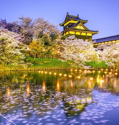 奈良 桜と鹿 寺社仏閣がコラボ 楽しみ方色々なお花見スポット5選 おすすめ旅行を探すならトラベルブック Travelbook 奈良 桜と鹿 寺社仏閣がコラボ 楽しみ方色々なお花見スポット5選 おすすめ旅行を探すならトラベルブック Travelbook