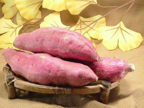 東京 泥だらけで秋の行楽を楽しむ 芋堀りできる農場５選 おすすめ旅行を探すならトラベルブック Travelbook