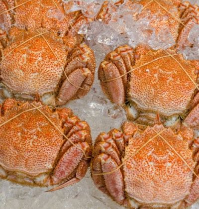 トラベルブック