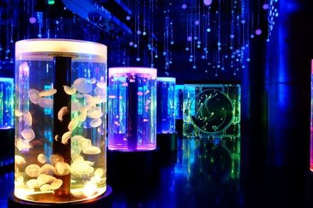 関東 子連れでお出かけにおすすめしたい動物園 水族館５選 子育て情報を探すならトラベルブックファミリー