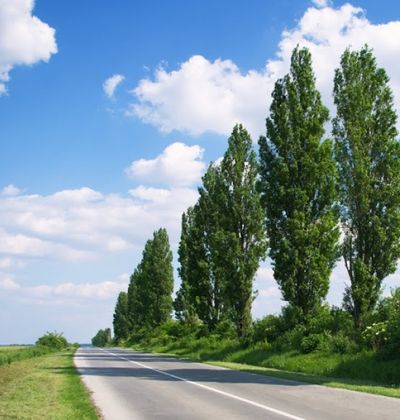 札幌 自然に囲まれた北海道大学の歴史ある観光スポット5選 おすすめ旅行を探すならトラベルブック Travelbook 札幌 自然に囲まれた北海道大学の歴史ある観光スポット5選 おすすめ旅行を探すならトラベルブック Travelbook