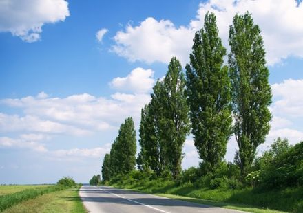 札幌 自然に囲まれた北海道大学の歴史ある観光スポット5選 おすすめ旅行を探すならトラベルブック Travelbook 札幌 自然に囲まれた北海道大学の歴史ある観光スポット5選 おすすめ旅行を探すならトラベルブック Travelbook