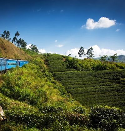 スリランカ キャンディのおすすめ格安ホテル10選 口コミ評判の高い宿をご紹介 おすすめ旅行を探すならトラベルブック Travelbook スリランカ キャンディのおすすめ格安ホテル10選 口コミ評判の高い宿をご紹介 おすすめ旅行を探すならトラベルブック Travelbook