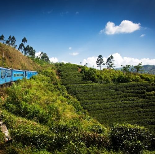 スリランカ キャンディのおすすめ格安ホテル10選 口コミ評判の高い宿をご紹介 おすすめ旅行を探すならトラベルブック Travelbook