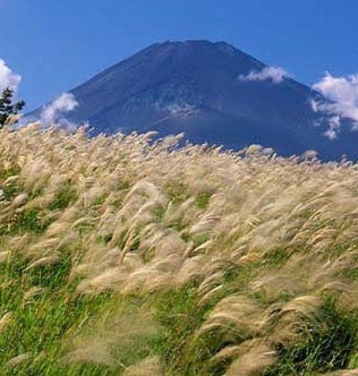 静岡 富士山を臨む街 富士市で子供からお年寄りまで楽しめる観光スポット５選 おすすめ旅行を探すならトラベルブック Travelbook