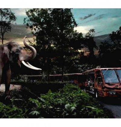 シンガポール ムード満点のナイトサファリ等 ワクワクの動物系アクティビティ10選 おすすめ旅行を探すならトラベルブック Travelbook シンガポール ムード満点のナイトサファリ等 ワクワクの動物系アクティビティ10選 おすすめ旅行を探すならトラベルブック Travelbook