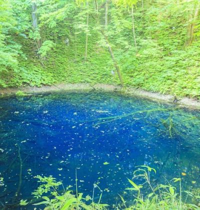 山地 白神 世界遺産白神山地｜青森県庁ウェブサイト Aomori