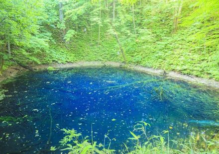 青森 世界遺産 白神山地 観光で押さえておくべきポイントまとめ おすすめ旅行を探すならトラベルブック Travelbook 青森 世界遺産 白神山地 観光で押さえておくべきポイントまとめ おすすめ旅行を探すならトラベルブック Travelbook