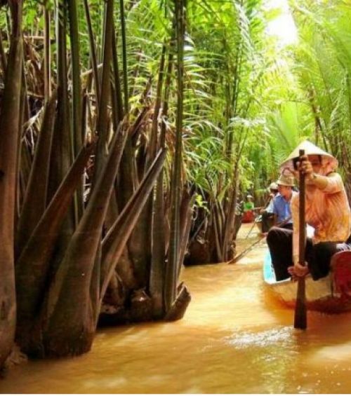 ホーチミン ベトナム屈指の人気アトラクション メコン川ツアー5選 おすすめ旅行を探すならトラベルブック Travelbook