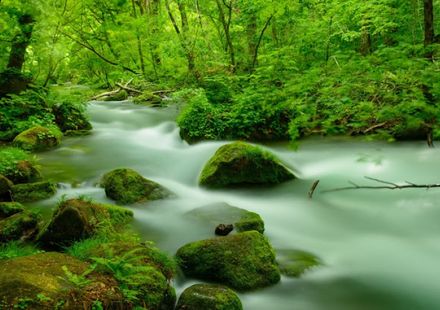 青森 奥入瀬渓流観光の見どころガイド 十和田湖から注ぐ清流に癒される おすすめ旅行を探すならトラベルブック Travelbook 青森 奥入瀬渓流観光の見どころガイド 十和田湖から注ぐ清流に癒される おすすめ旅行を探すならトラベルブック Travelbook