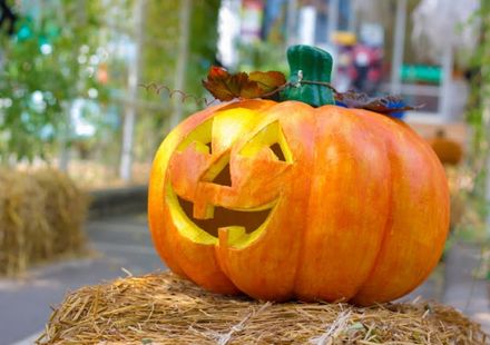 22年版 ルールを守って楽しく仮装しよう ディズニーハロウィン入門 おすすめ旅行を探すならトラベルブック Travelbook 22年版 ルールを守って楽しく仮装しよう ディズニーハロウィン入門 おすすめ旅行を探すならトラベルブック Travelbook