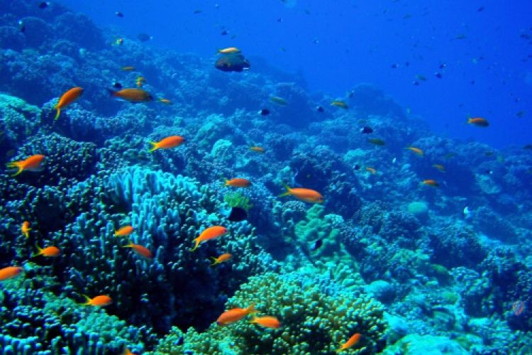 沖縄旅行で必ず寄りたい、平和について学べる観光スポット5選 おすすめ旅行を探すならトラベルブック(TravelBook)