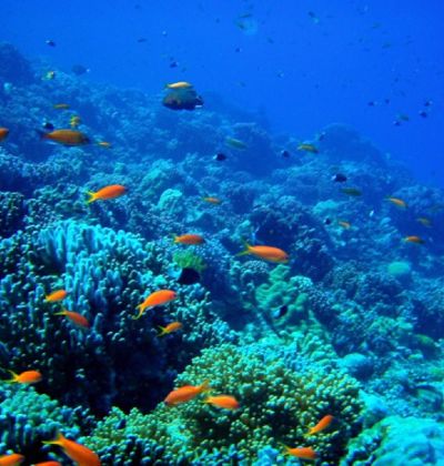 沖縄旅行で必ず寄りたい 平和について学べる観光スポット5選 おすすめ旅行を探すならトラベルブック Travelbook 沖縄旅行で必ず寄りたい 平和について学べる観光スポット5選 おすすめ旅行を探すならトラベルブック Travelbook