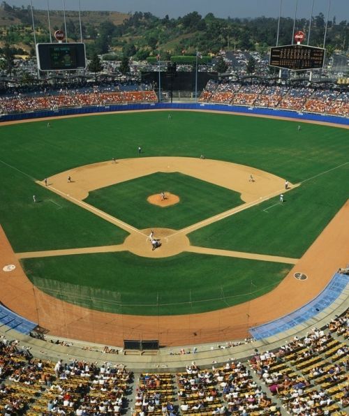 ロサンゼルス スポーツ観戦にディズニーなど家族 子連れ向けオプショナルツアー5選 子育て情報を探すならトラベルブックファミリー