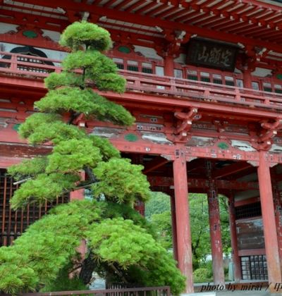 山梨 甲府市で大自然を満喫しながら歴史を学べる観光スポット5選 おすすめ旅行を探すならトラベルブック Travelbook 山梨 甲府市で大自然を満喫しながら歴史を学べる観光スポット5選 おすすめ旅行を探すならトラベルブック Travelbook
