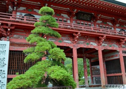 山梨 甲府市で大自然を満喫しながら歴史を学べる観光スポット5選 おすすめ旅行を探すならトラベルブック Travelbook 山梨 甲府市で大自然を満喫しながら歴史を学べる観光スポット5選 おすすめ旅行を探すならトラベルブック Travelbook