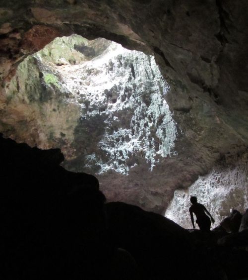 セブ島 自然の神秘に触れるオプショナルツアー5選 海外の秘境を体験 おすすめ旅行を探すならトラベルブック Travelbook セブ島 自然の神秘に触れるオプショナルツアー5選 海外の秘境を体験 おすすめ旅行を探すならトラベルブック Travelbook