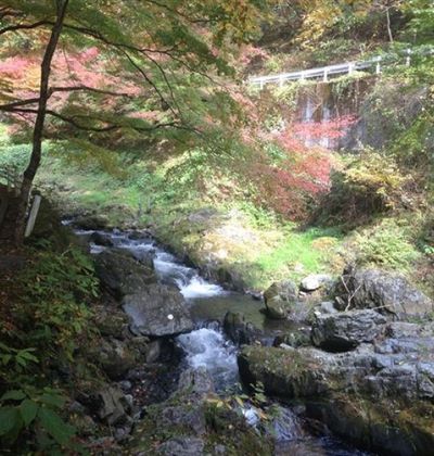 栃木 佐野市で東京から日帰りで遊べるおすすめ観光スポット5選 おすすめ旅行を探すならトラベルブック Travelbook 栃木 佐野市で東京から日帰りで遊べるおすすめ観光スポット5選 おすすめ旅行を探すならトラベルブック Travelbook