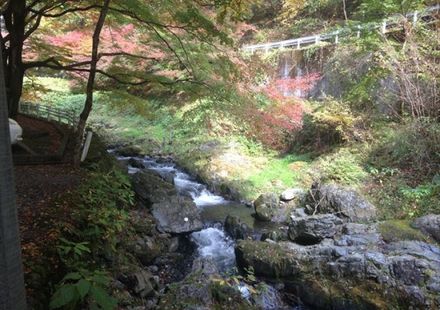 栃木 佐野市で東京から日帰りで遊べるおすすめ観光スポット5選 おすすめ旅行を探すならトラベルブック Travelbook 栃木 佐野市で東京から日帰りで遊べるおすすめ観光スポット5選 おすすめ旅行を探すならトラベルブック Travelbook