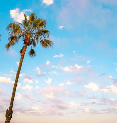 カリフォルニア 子連れ 家族旅行で行きたい西海岸エリア観光地 遊び場と注意点まとめ 子育て情報を探すならトラベルブックファミリー カリフォルニア 子連れ 家族旅行で行きたい西海岸エリア観光地 遊び場と注意点まとめ 子育て情報を探すならトラベルブックファミリー