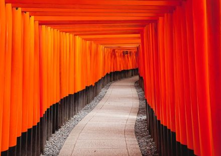 京都 伏見稲荷大社の観光ガイド 朱色の千本鳥居に圧倒される おすすめ旅行を探すならトラベルブック Travelbook 京都 伏見稲荷大社の観光ガイド 朱色の千本鳥居に圧倒される おすすめ旅行を探すならトラベルブック Travelbook