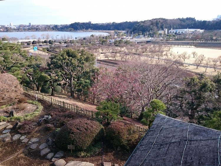 茨城 水戸市で歴史と自然を堪能できるおすすめの日帰り観光スポット５選 おすすめ旅行を探すならトラベルブック Travelbook