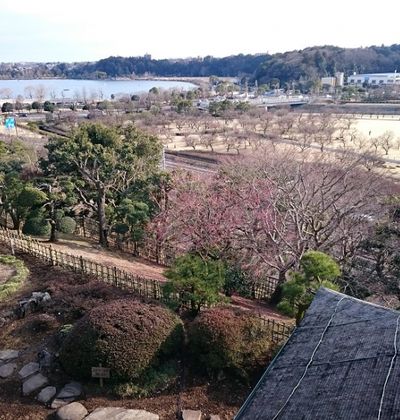 茨城 水戸市で歴史と自然を堪能できるおすすめの日帰り観光スポット5選 おすすめ旅行を探すならトラベルブック Travelbook 茨城 水戸市で歴史と自然を堪能できるおすすめの日帰り観光スポット5選 おすすめ旅行を探すならトラベルブック Travelbook