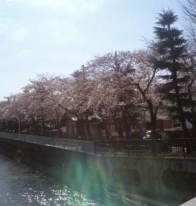 千葉 市川 船橋で一度は行っておきたい人気の定番観光地5選 おすすめ旅行を探すならトラベルブック Travelbook 千葉 市川 船橋で一度は行っておきたい人気の定番観光地5選 おすすめ旅行を探すならトラベルブック Travelbook